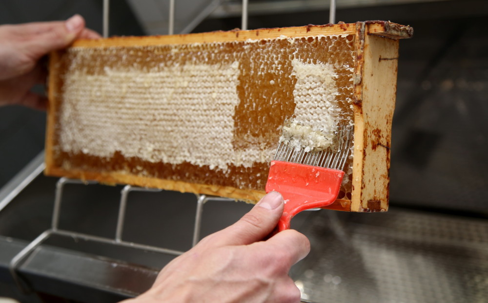Biškopji priecājas: šovasar bijusi krietna putekšņu raža un sarūpēts daudz medus