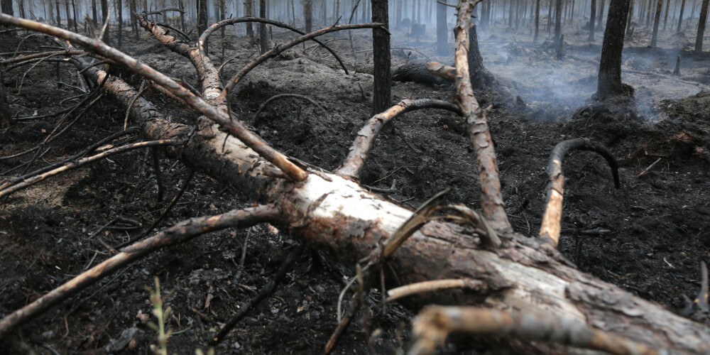 Policijas secinājums: postošais Valdgales ugunsgrēks sācies firmas "Pindstrup Latvia" teritorijā