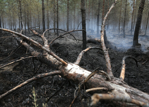 Policijas secinājums: postošais Valdgales ugunsgrēks sācies firmas "Pindstrup Latvia" teritorijā