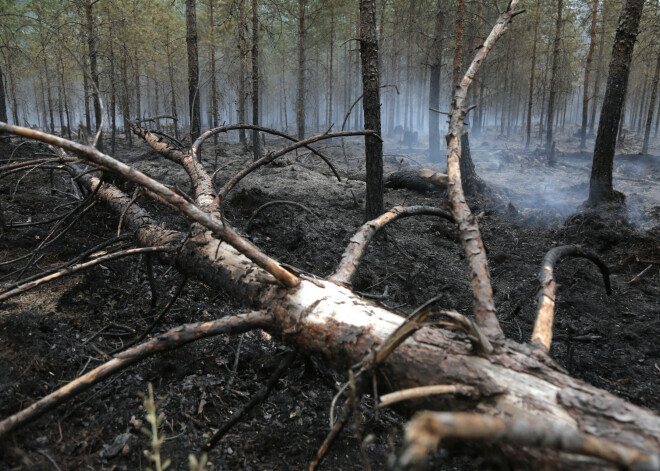 Policijas secinājums: postošais Valdgales ugunsgrēks sācies firmas "Pindstrup Latvia" teritorijā