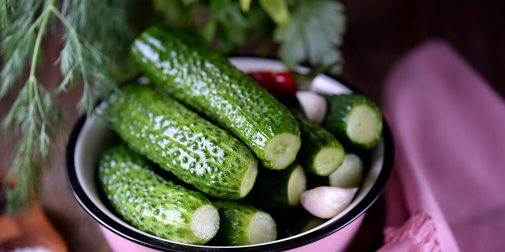 8 iemesli, kāpēc ir veselīgi ēst svaigus gurķus