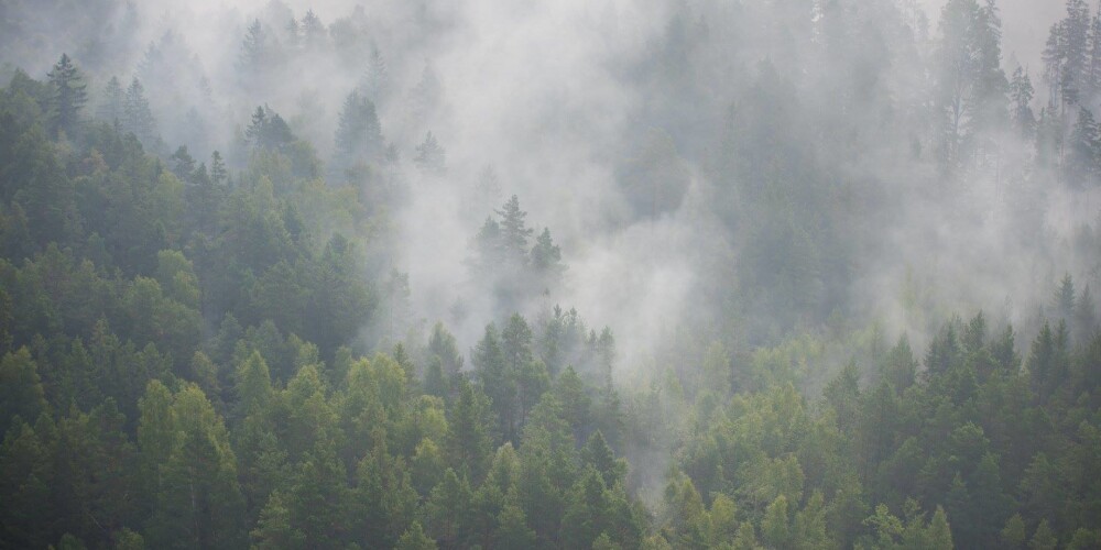 Spēcīgais lietus būtiski uzlabojis situāciju Valdgales kūdras purva un meža ugunsgrēka dzēšanā