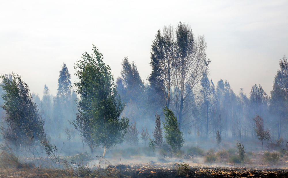 Ugunsdzēsēji turpina cīnīties jau ar trim plašiem meža un purvu ugunsgrēkiem: nu jau deg arī Salas novadā
