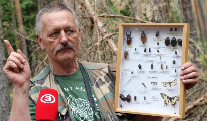 Entomologs Voldemārs Spuņģis: „Tauriņiem bija laba vasara. Salīdzinot ar pagājušo vasaru, šogad to ir vairāk”.