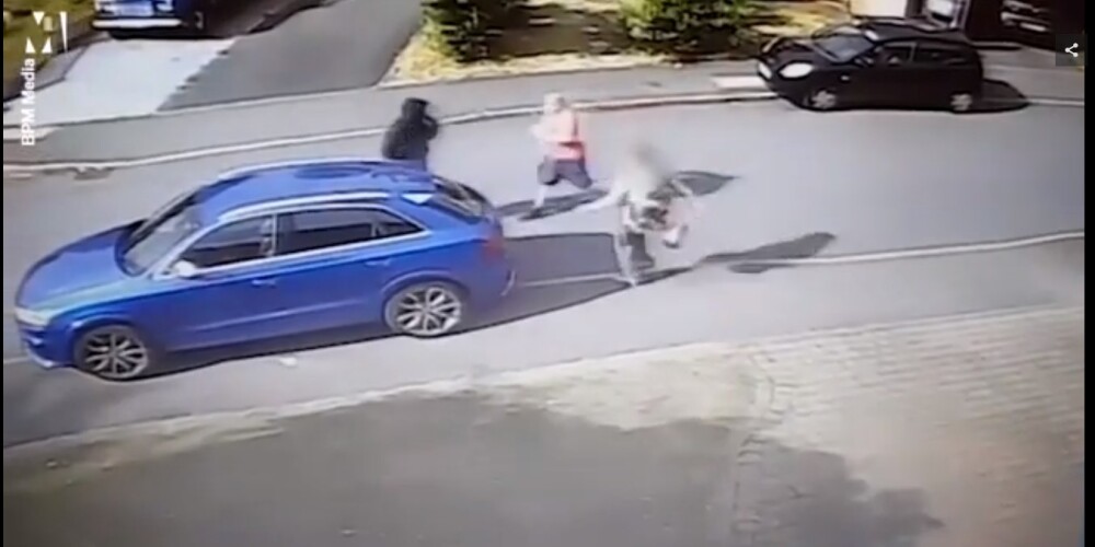 Видео: храбрая старушка отбилась от автоугонщиков своей сумкой