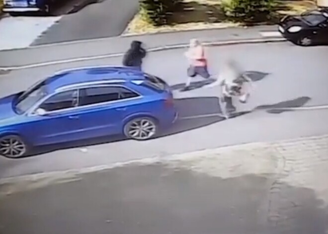 Видео: храбрая старушка отбилась от автоугонщиков своей сумкой