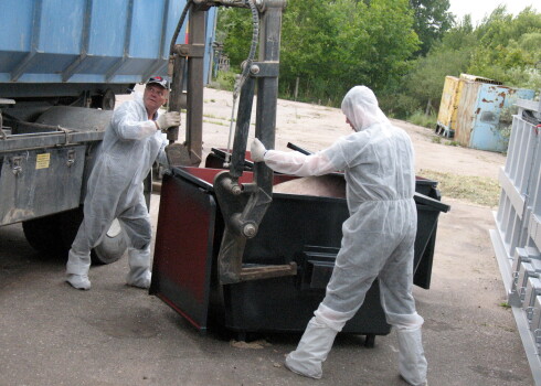 Cūku likvidēšanas process.