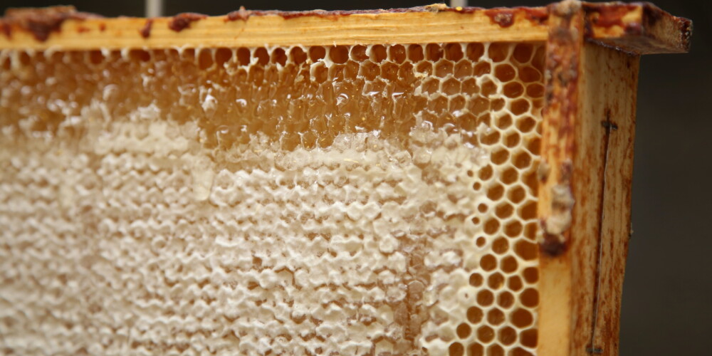 Medus - vai tik tiešām labāks par cukuru?