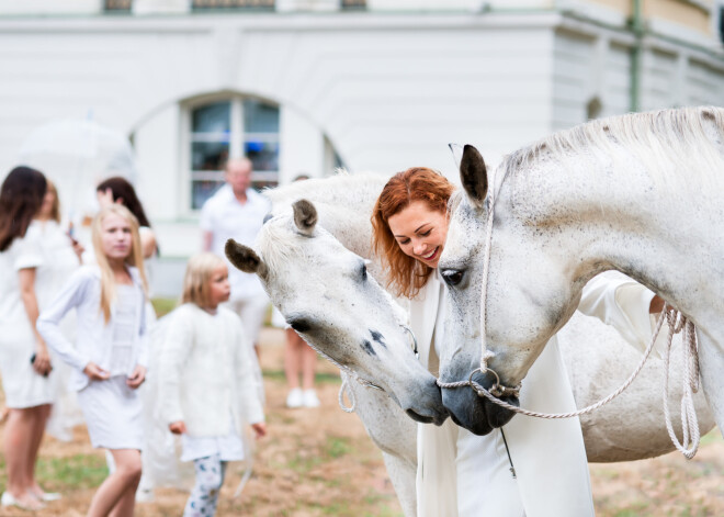 Baltās pop-up piknika vakariņas „L’elegante Pop-Up Picnic” šovasar pirmo reizi notika arī ārpus galvaspilsētas - Mežotnes pils parkā.