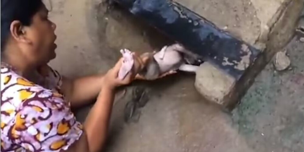 Душераздирающее видео: мерзавцы кинули в ливневый сток младенца, обмотав его шею пуповиной