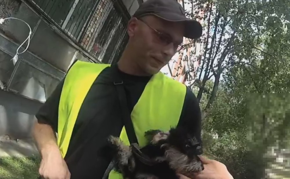 Video: glābšanas operācija Rīgā - nelaimē pamests sunītis sapriecājas, ieraugot palīgā nākošus cilvēkus