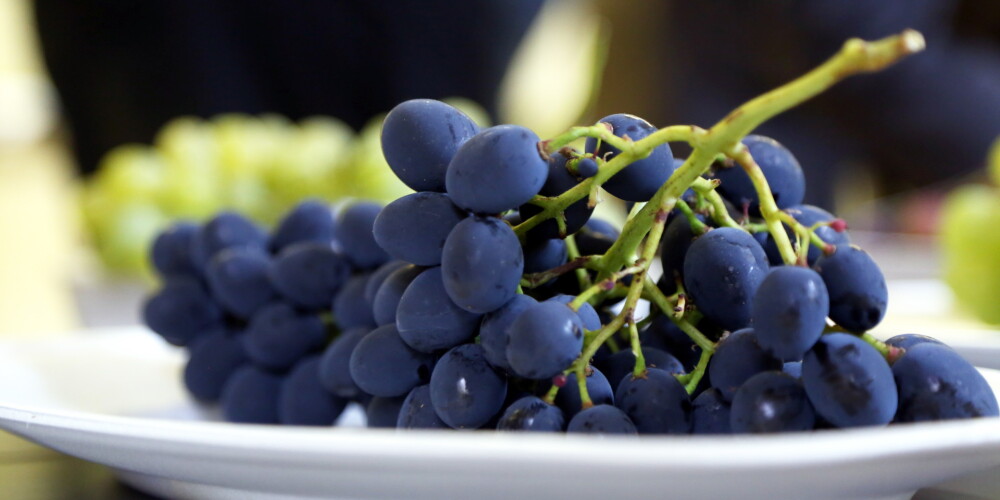 Par šīs vasaras tveici laimīgi ir vīnogu audzētāji - raža solās būt izcila