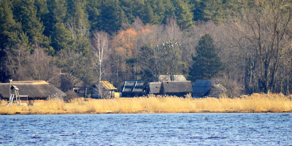 Brīvdabas muzeja teritorija Juglas ezera krastā.