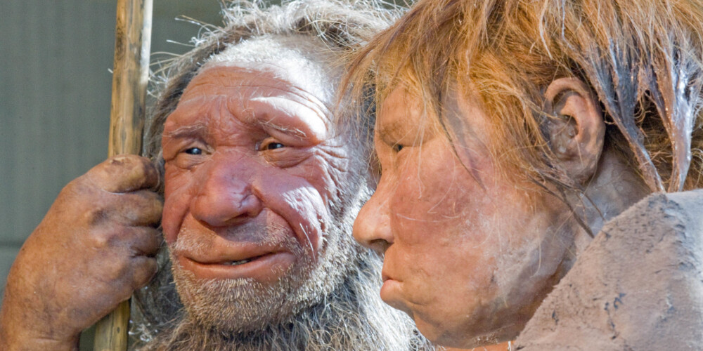 Pētījums atklāj, kāpēc Eiropā izzuda neandertālieši, kuru vietā nāca Homo sapiens