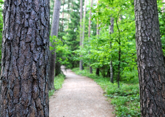 "Хочется кричать от злости!": Женщина об увиденном в Юрмале