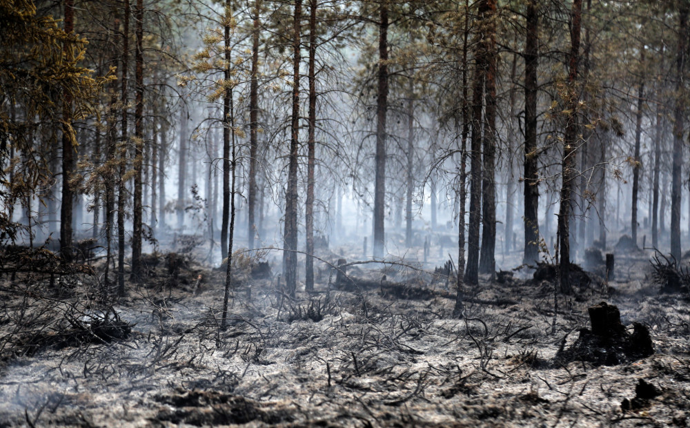 Lai gan karstums mitējies, ugunsnedrošā sezona Latvijas mežos turpinās