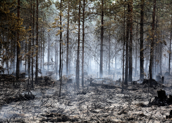 Lai gan karstums mitējies, ugunsnedrošā sezona Latvijas mežos turpinās