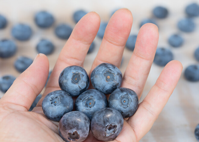 Superogas krūmmellenes - tu neticēsi, cik daudz tās spēj