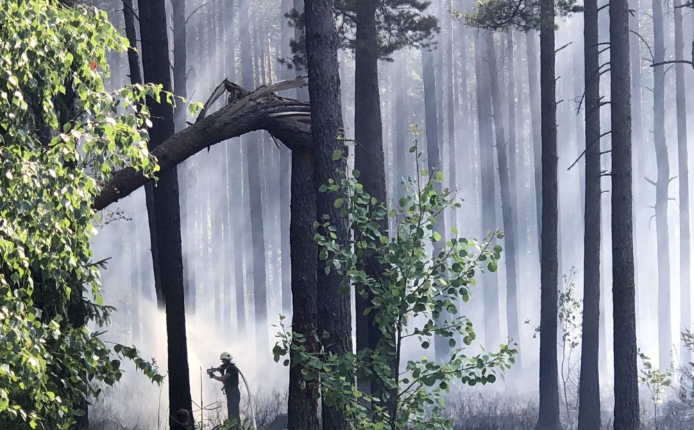 VUGD un brīvprātīgie ugunsdzēsēji turpina cīnīties ar meža ugunsgrēku Cēsīs