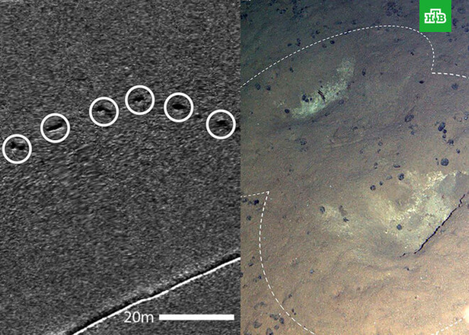 Загадочные следы нашли на дне Тихого океана