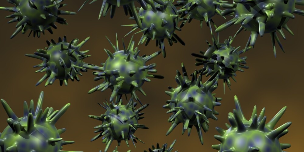 Vīruss, kas stiprina imūnsistēmu