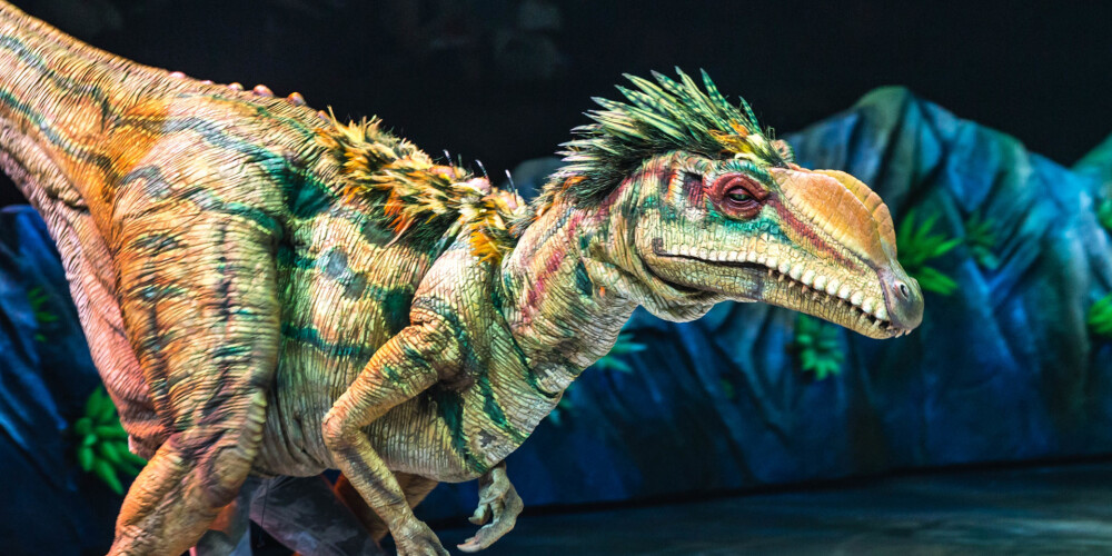 Oktobra sākumā Rīgā viesosies pasaulē lielākais dinozauru šovs - "Pastaiga ar dinozauriem"