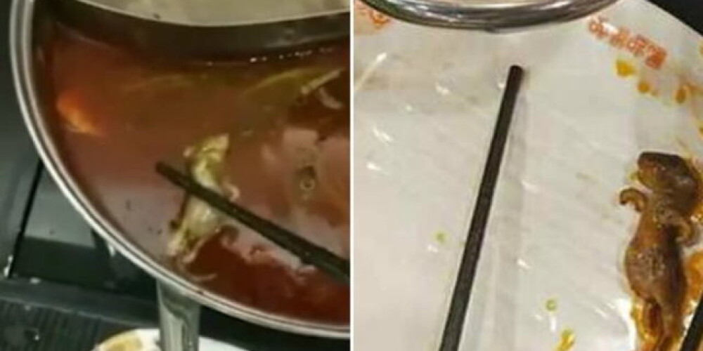 Slavenā Ķīnas restorānā grūtniece no zupas bļodas izvelk beigtu žurku