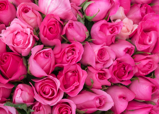 Tavs horoskops šodienai. Ceturtdiena, 4. oktobris