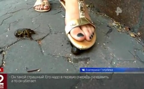 Женские ступни: стоковое видео (без лицензионных платежей), | Shutterstock