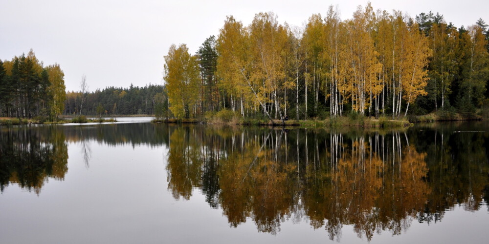 FOTO: kā netipiski siltais rudens nāk apgleznot Latviju