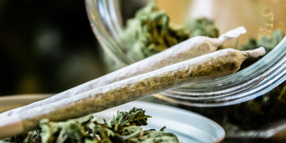 Lietuvas parlaments legalizē marihuānu medicīniskos nolūkos