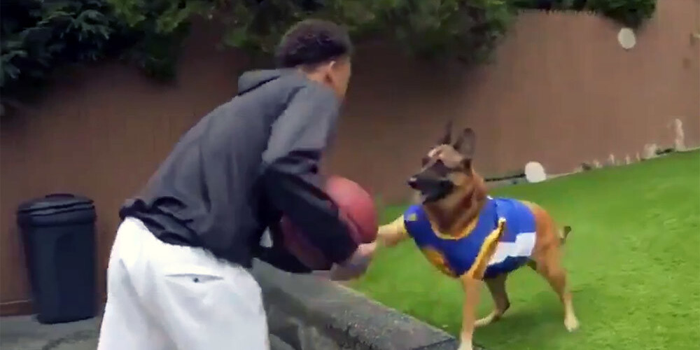 VIDEO: noskaties, kā suns asistē basketbolistam varenā "Slam-dunk"