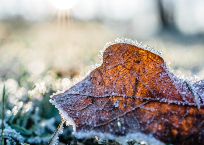 Laikapstākļi naktī uz sestdienu - pirmais sals un gaiss atdzisīs līdz -3 grādiem