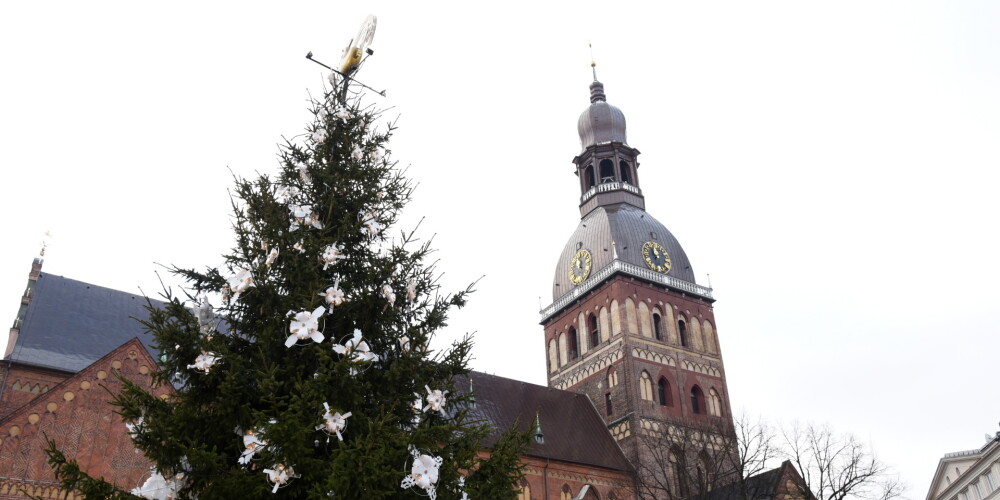 Rīgas dome iepirkumā meklē 50 Ziemassvētku egļu piegādātājus