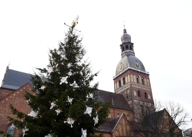 Rīgas dome iepirkumā meklē 50 Ziemassvētku egļu piegādātājus