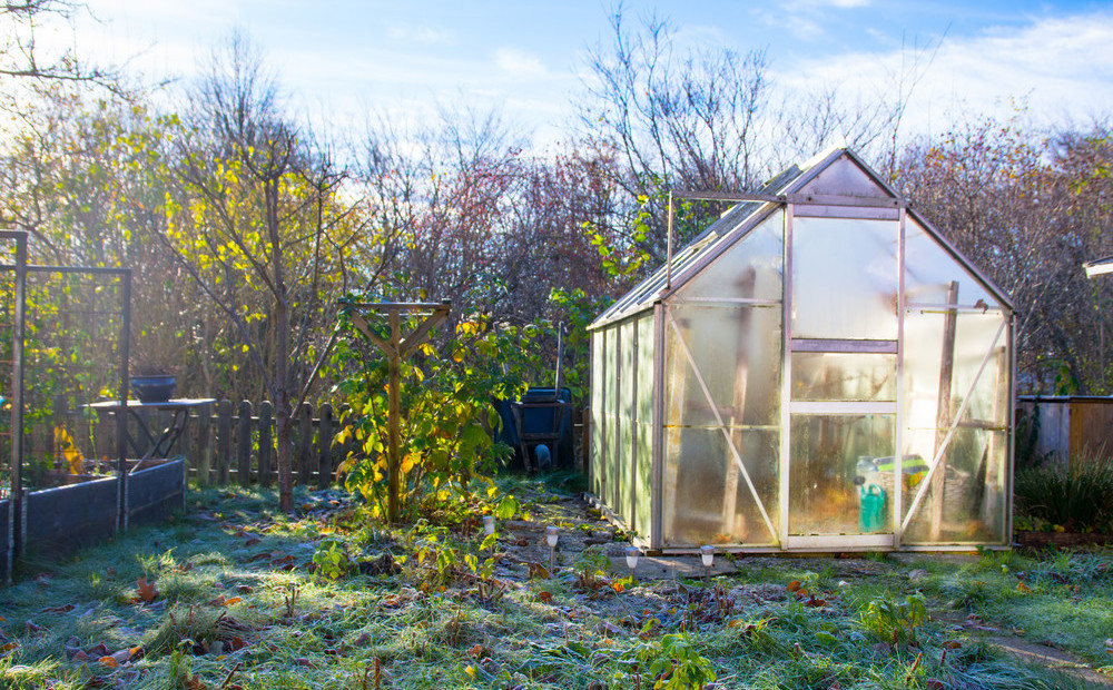 Kā oktobrī dārzu sagatavot ziemai? 6 svarīgi uzdevumi