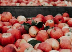 Nemet prom ābolu mizas - izmanto tās pat savā drēbju skapī