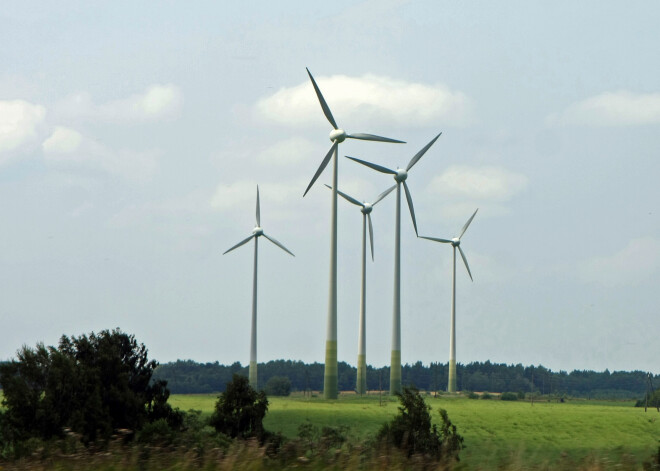 Bioloģijas doktors vērtē, kā milzīgais vēja parks Dobeles un Tukuma novados ietekmēs dabu