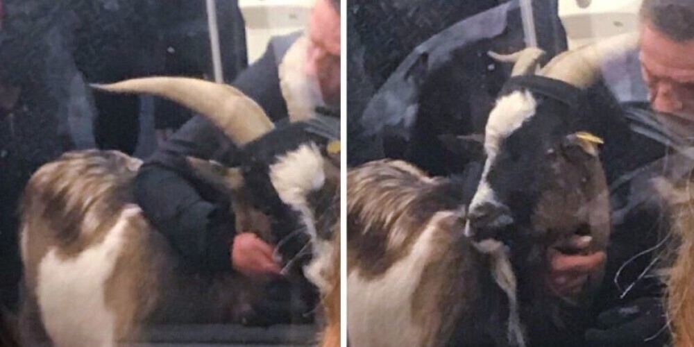 FOTO: vīrietis ar zagtu kazu bloķē Parīzes metro satiksmi
