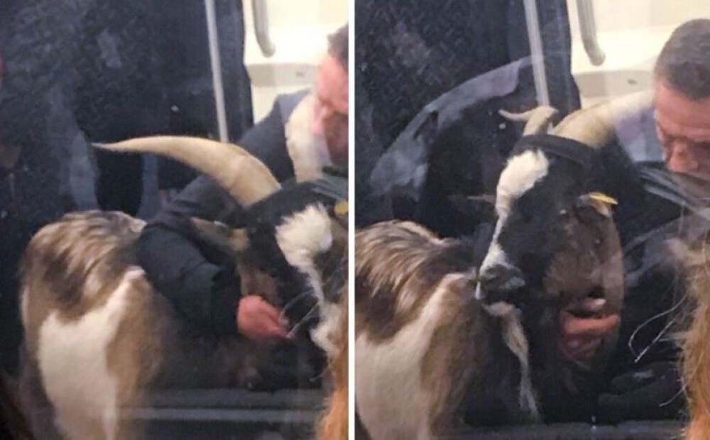 FOTO: vīrietis ar zagtu kazu bloķē Parīzes metro satiksmi
