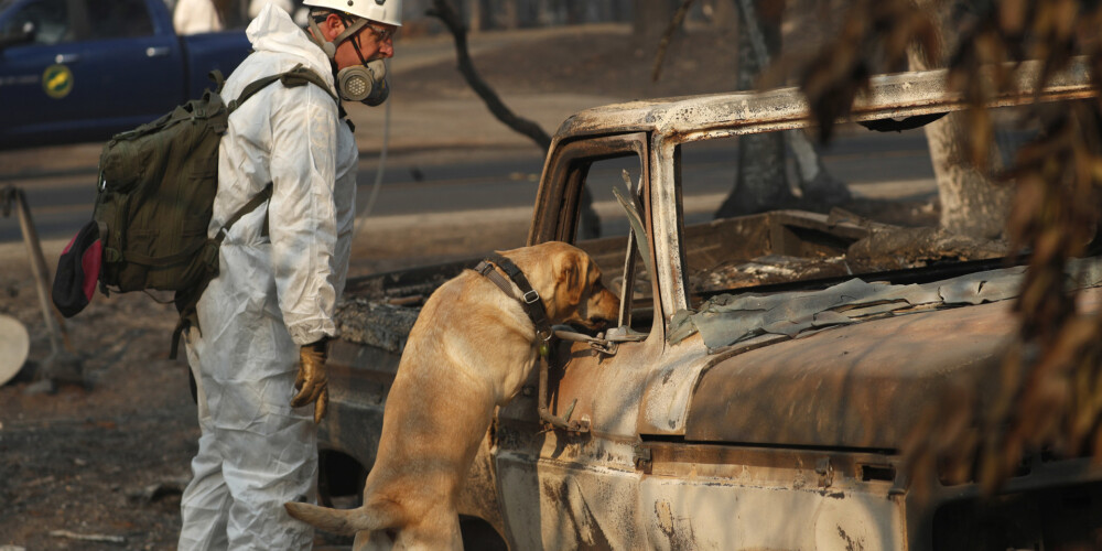 Kalifornijas ugunsgrēkos bezvēsts pazudušo cilvēku skaits sasniedzis 1000