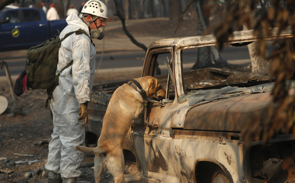 Kalifornijas ugunsgrēkos bezvēsts pazudušo cilvēku skaits sasniedzis 1000