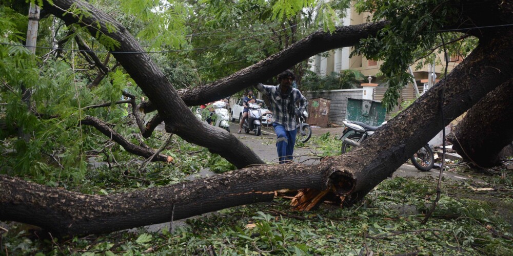 Indijā ciklonā ''Gadža'' 33 bojāgājušie