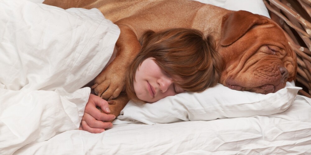 Лучший партнер для женщин в постели – это собака!