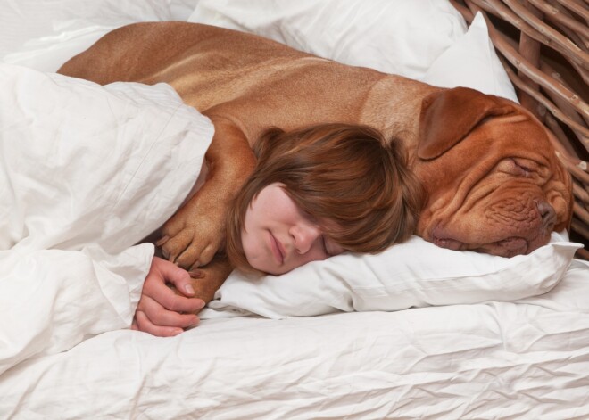 Лучший партнер для женщин в постели – это собака!