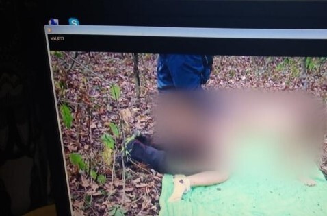 Полицейские обнаружили на компьютере подозреваемого видео с детской порнографией