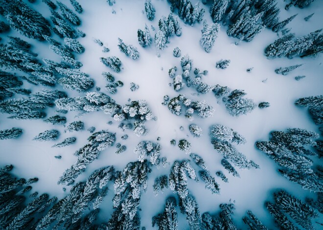 Meteorologi: gaidāms aukstuma vilnis, kas neļaus šim gadam kļūt par vissiltāko