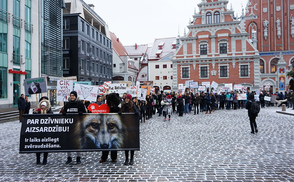 Vairāk nekā 500 cilvēku Rīgā dodas gājienā un pieprasa zvēraudzēšanas aizliegumu Latvijā