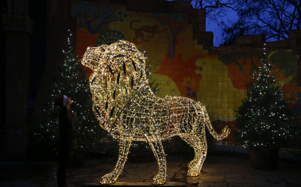 Londonas zoodārzā pirms Ziemassvētkiem mirdz pārsteidzoši skaistas dzīvnieku skulptūras