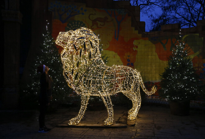 Izgaismota Lauvas instalācija Londonas zoodārzā.